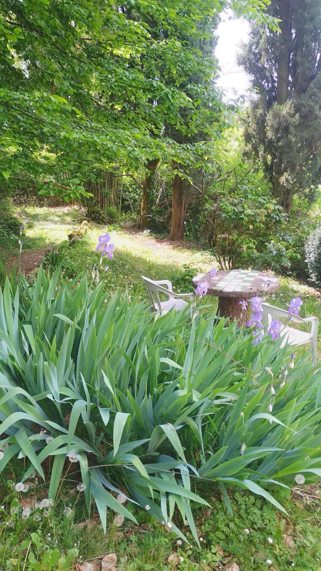 Apartmán Duplex 2 Personnes, Aix-les-Bains Exteriér fotografie